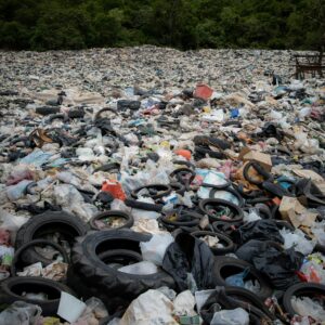 Le compost : une solution simple pour réduire ses déchets